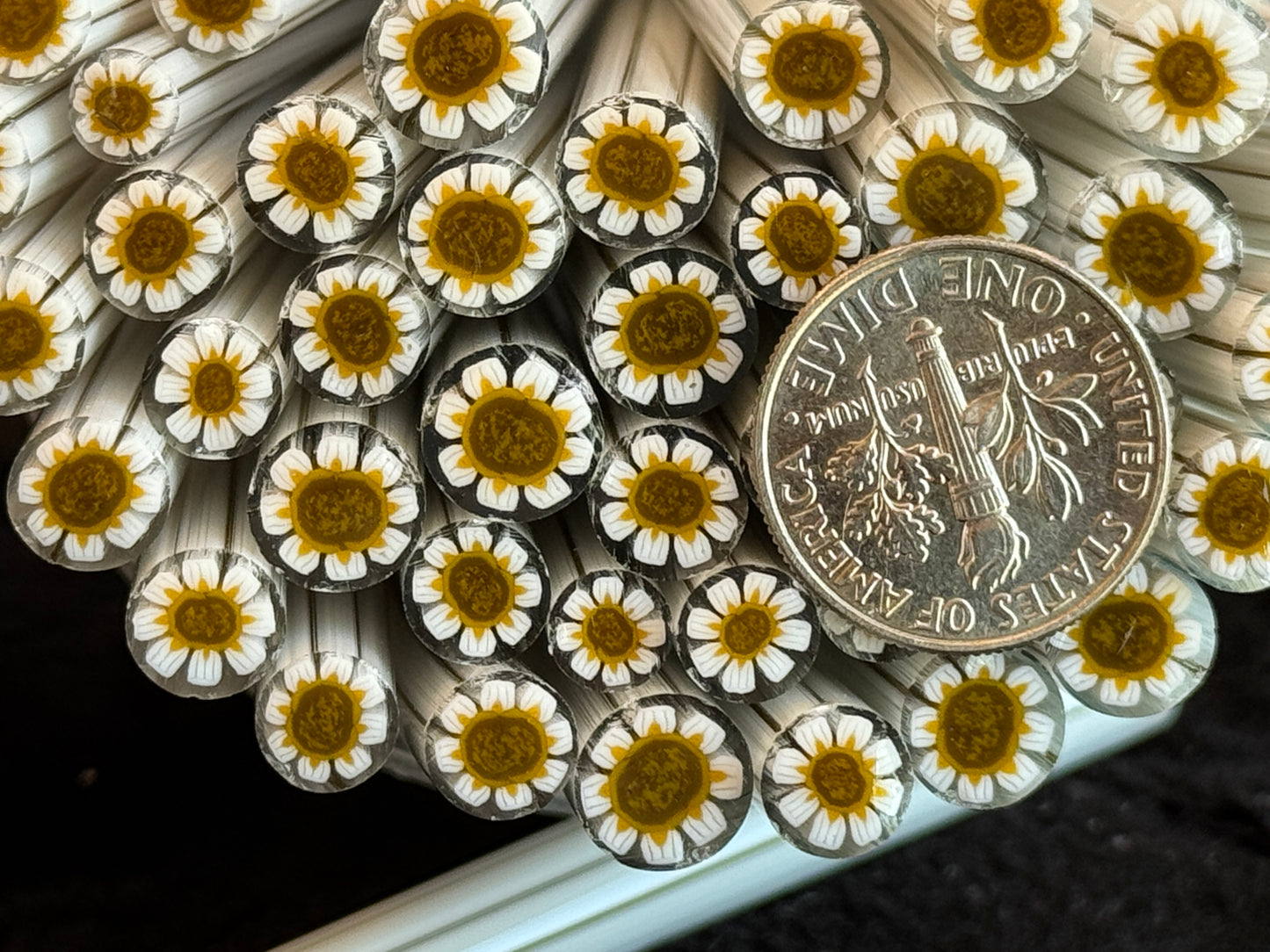 The Simple Daisy, 1oz, COE 96 Murrini Millefiori