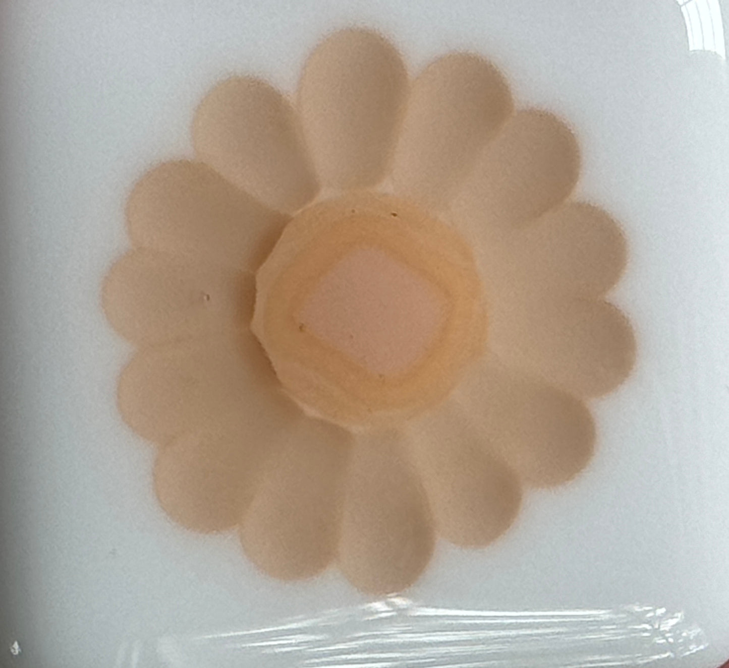 Transparent Flat-End Champagne Petal, 1oz, COE 96 Murrini Millefiori