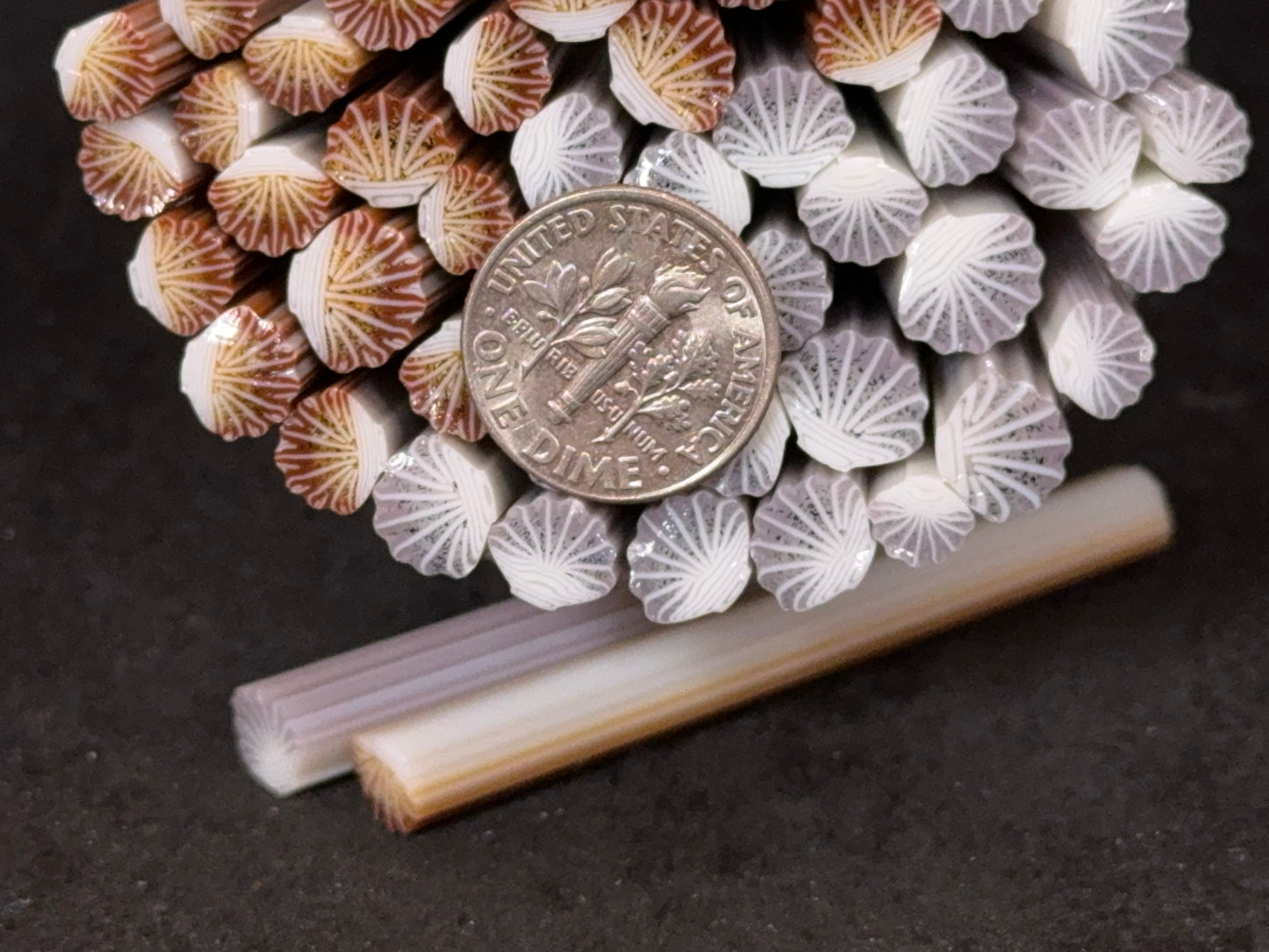 Lilac and Brown Sea Shell Duo, 1oz, COE 96 Murrini