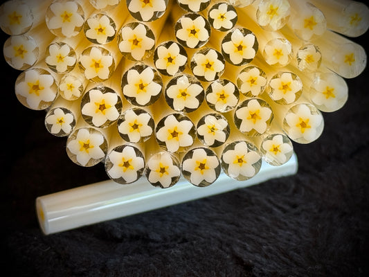 Little White Wall Flower, 1oz, COE 96 Murrini Millefiori