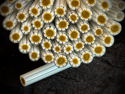 The Simple Daisy, 1oz, COE 96 Murrini Millefiori