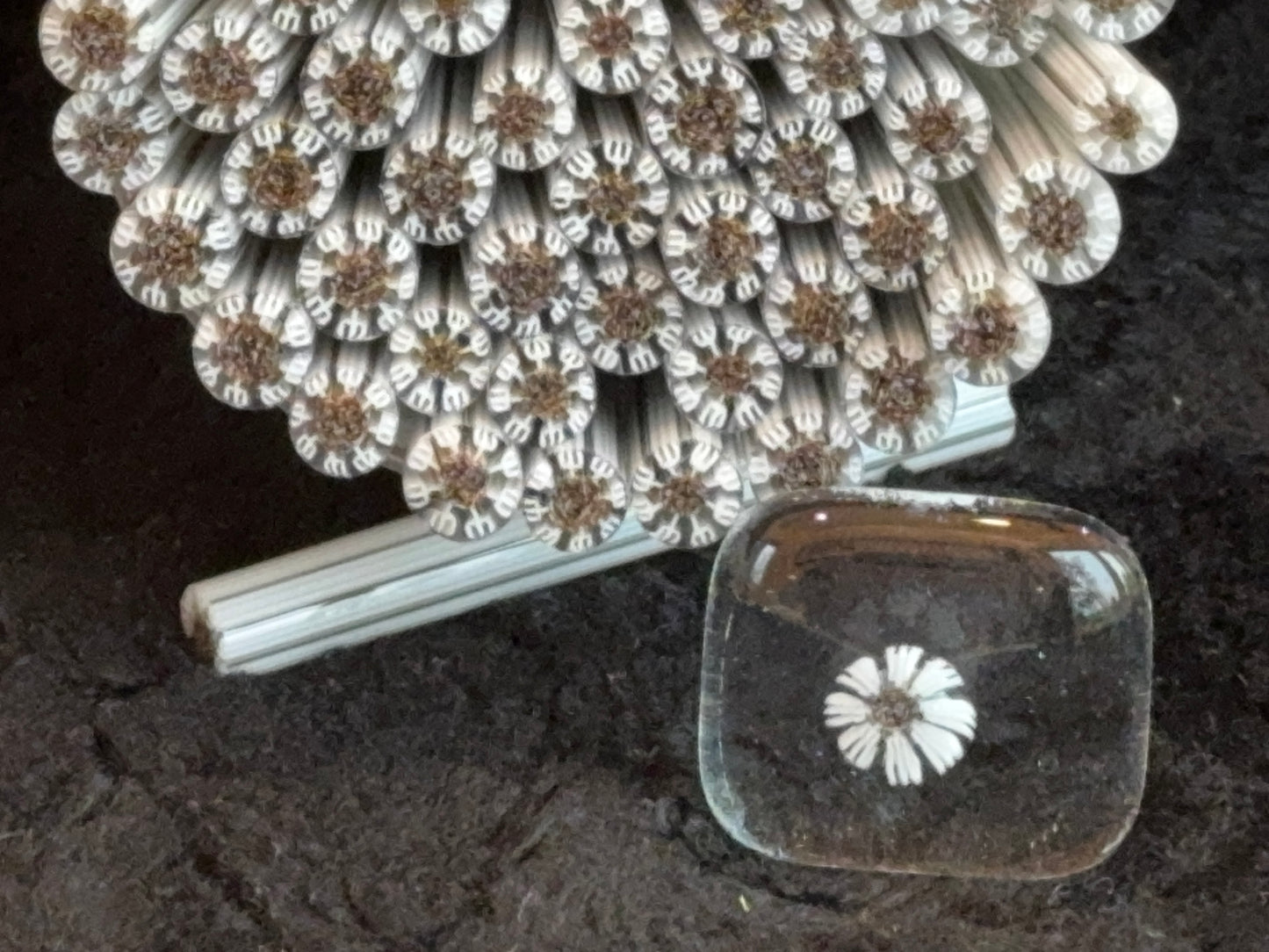 Dandelions, 1oz, COE 96 Murrini Millefiori