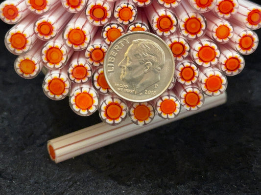 Dainty Daisy, 1oz, COE 96 Murrini Millefiori