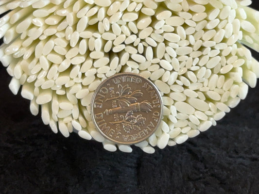 TINIES • Flat-end Vanilla Cream Daisy Petals, 1oz, COE 96 Murrini Millefiori