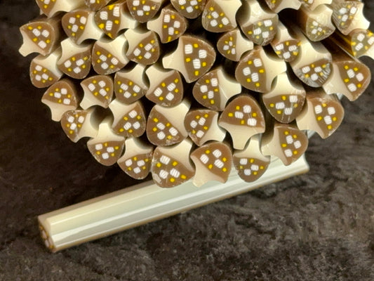 Brown Mushrooms (Tack Fuse), 1oz, COE 96 Murrini Millefiori