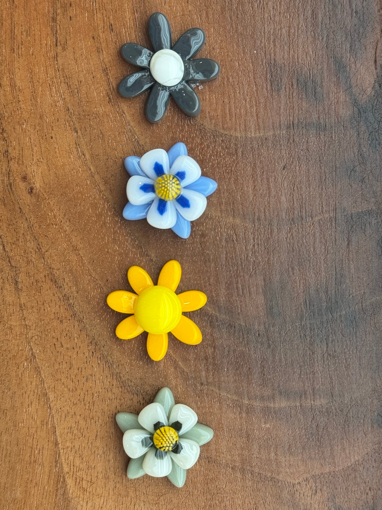 Multi-size Grey Flat-End Daisy Petal, 1oz, COE 96 Murrini Millefiori