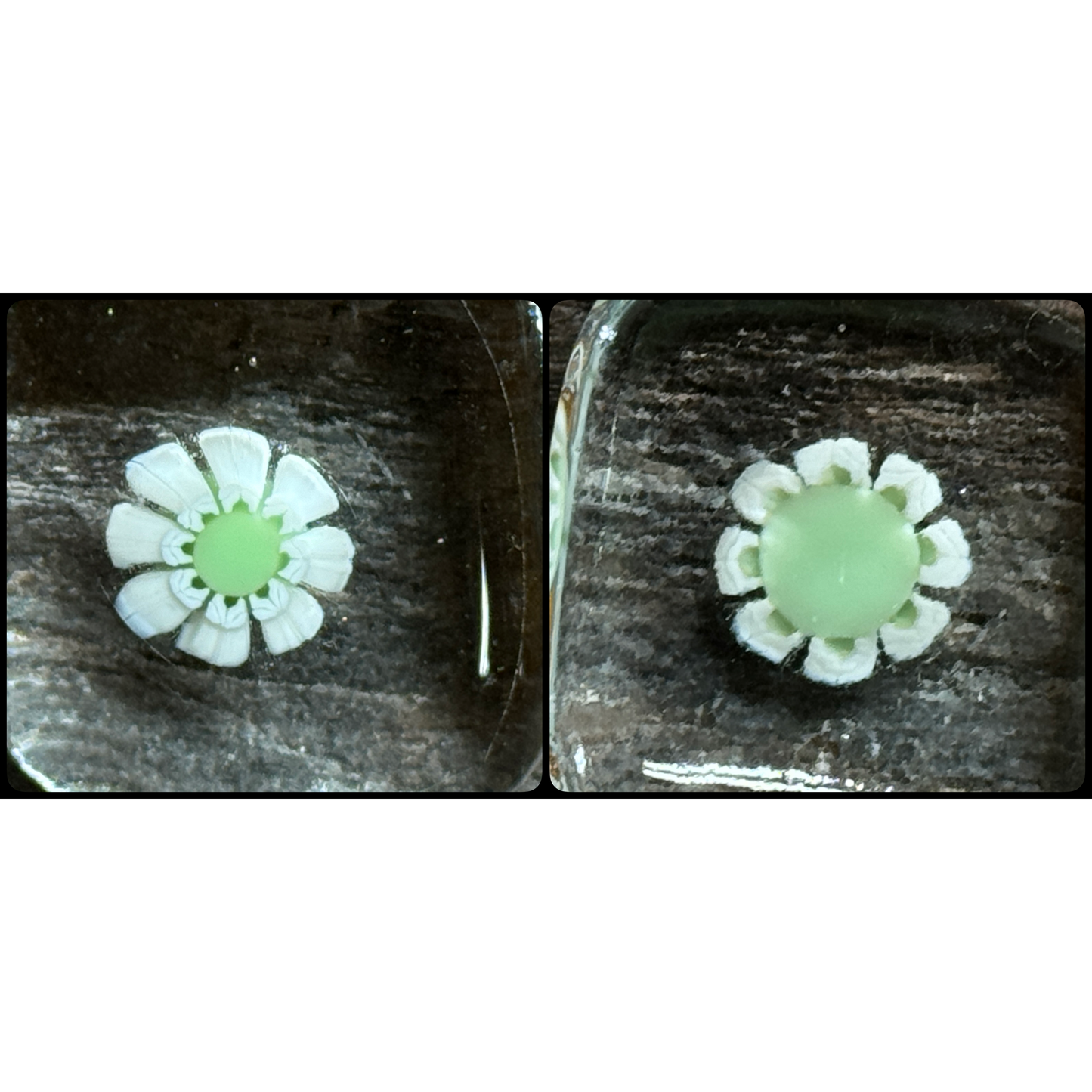 Daisy DUO with Mint Oval Leaf, 1.5oz, COE 96 Murrini Millefiori