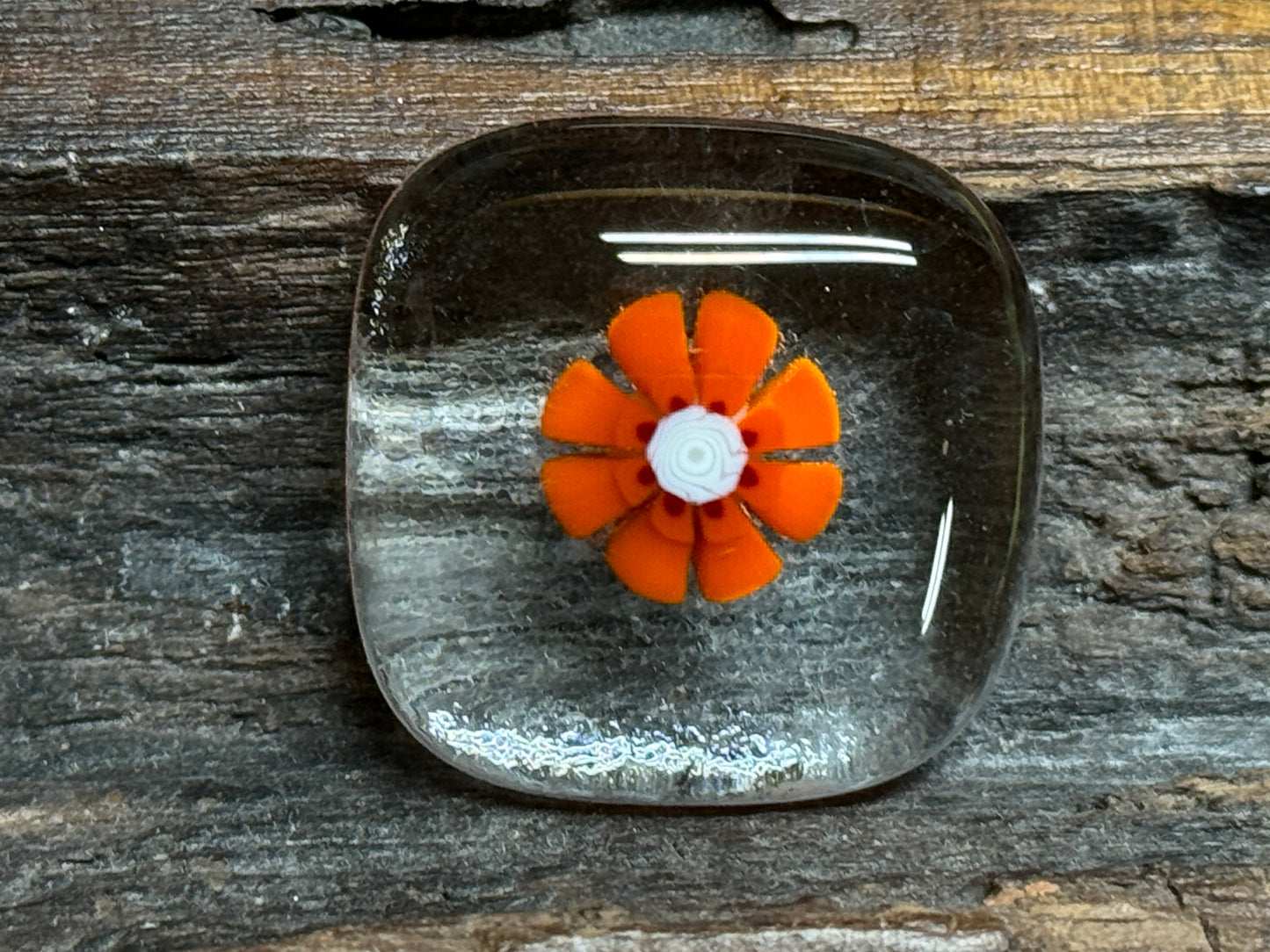 Orange Daisies, 1.5oz, COE 96 Murrini Millefiori